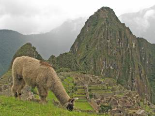 Peru